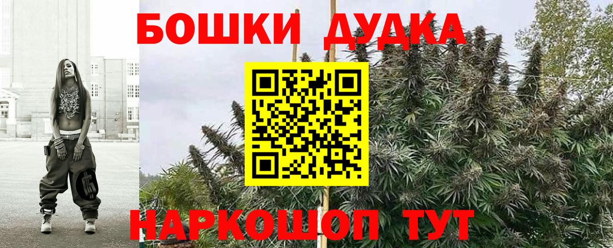 Бошки марихуана планчик  МАРИХУАНА конопля  Кизилюрт  Вход с VPN 